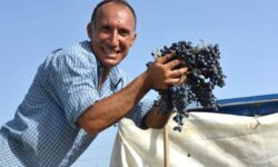 Alla scoperta del “Nero Pachino” per la Festa della Vendemmia 2026