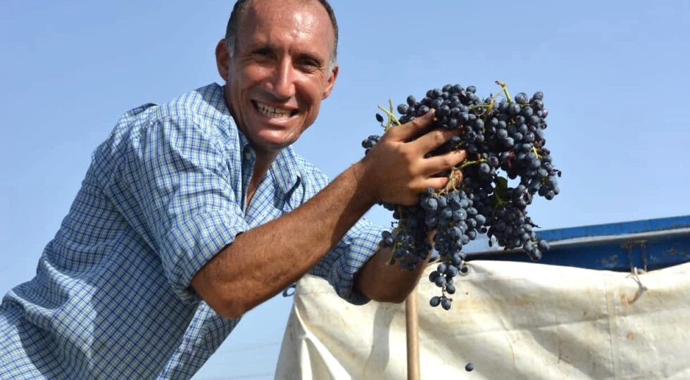 Alla scoperta del “Nero Pachino” per la Festa della Vendemmia 2026