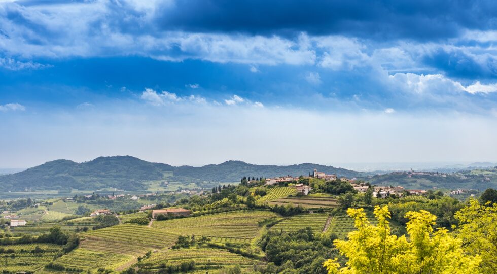 Collio Evolution 2026, a Gorizia dal 24 ottobre il convegno inaugurale e la ricerca di Nomisma sui vini nella ristorazione italiana