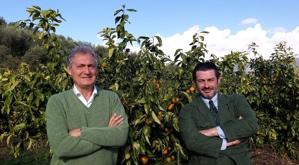 Brevetto europeo per la clementina Perrina, la tardiva italiana nata dalla ricerca privata