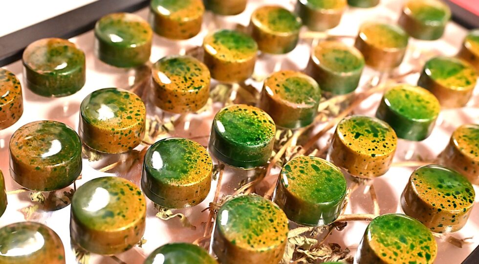 Taste Tomorrow On Tour, oltre mille artigiani a confronto sul futuro di pane e pasticceria