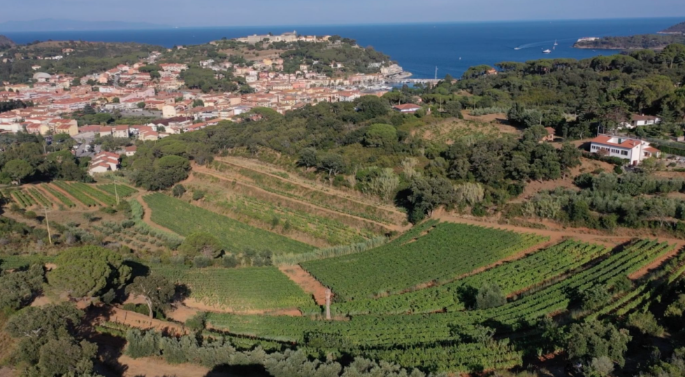 Il Consorzio Elba Doc a Vinitaly New York