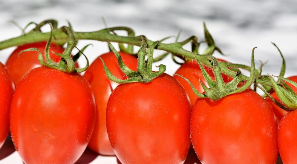 Pomodori a grappolo confit, un contorno semplice e aromatico